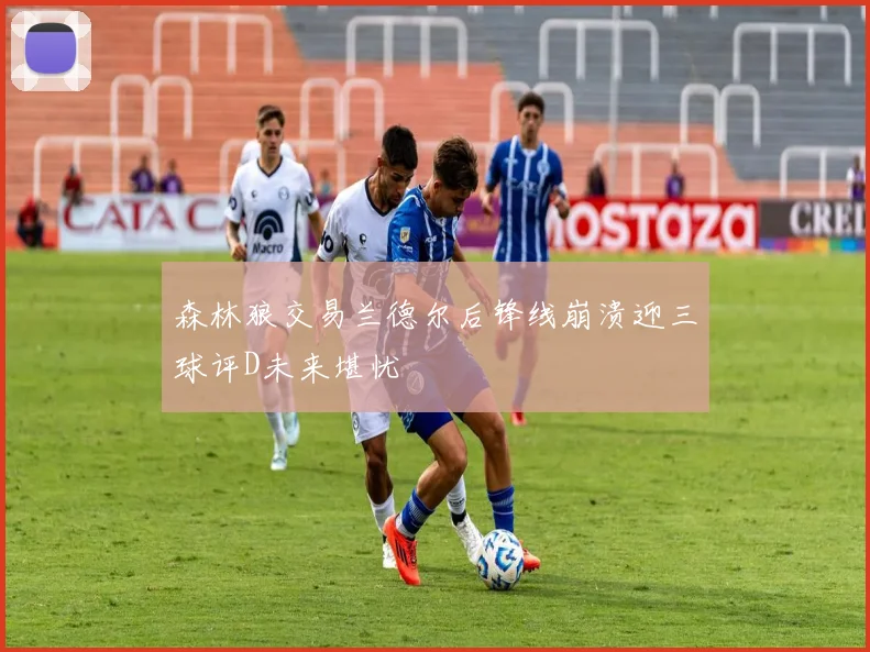 森林狼交易兰德尔后锋线崩溃迎三球评D未来堪忧